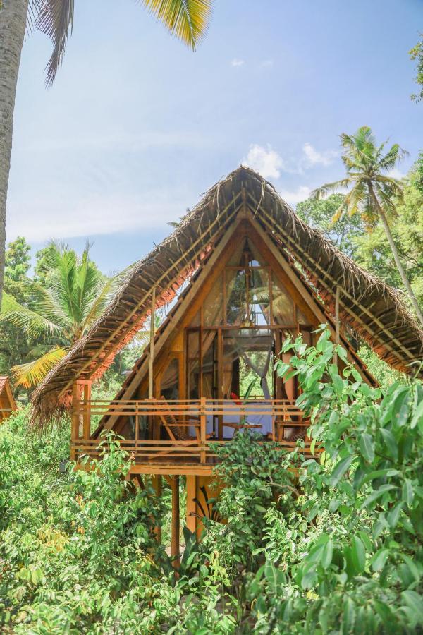 Cinnamon Paradise Nest Room Ahangama Exteriér fotografie
