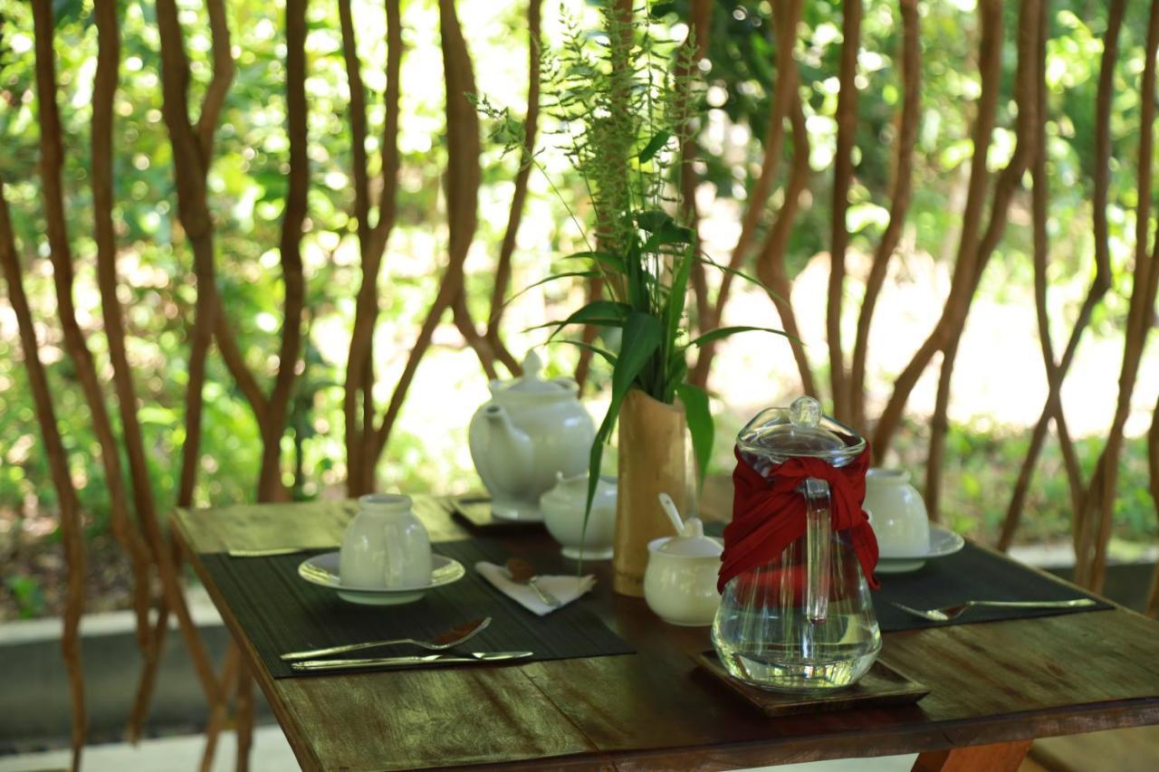 Cinnamon Paradise Nest Room Ahangama Exteriér fotografie